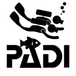 bapteme DSD
